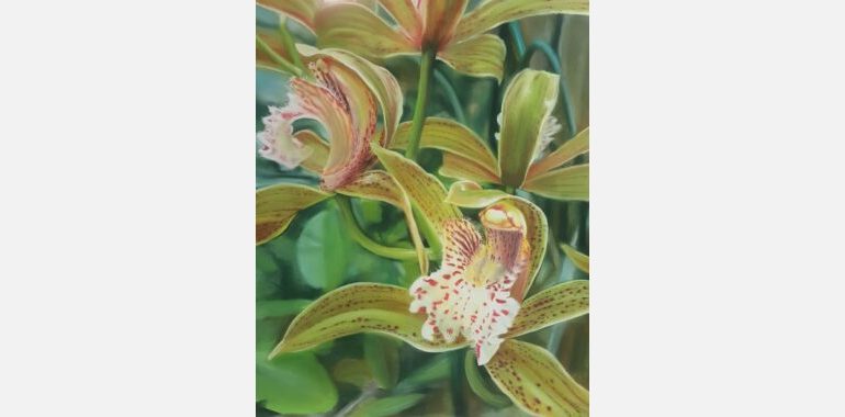 Louise-Saunders_Orchid-Fascination