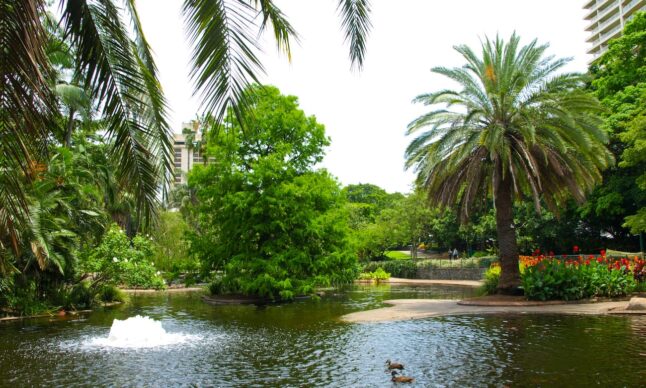 botanic-gardens-fountain